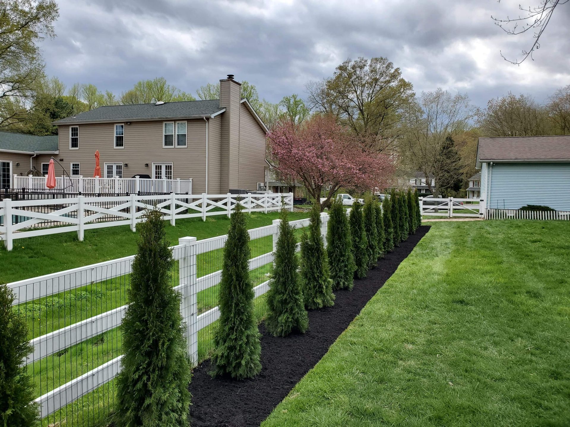 tree planting and fences