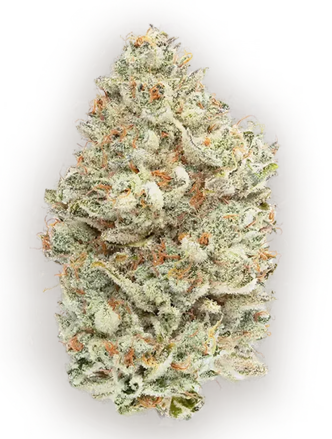 Cannabis bud, green and white with orange hairs, tightly packed with crystals.