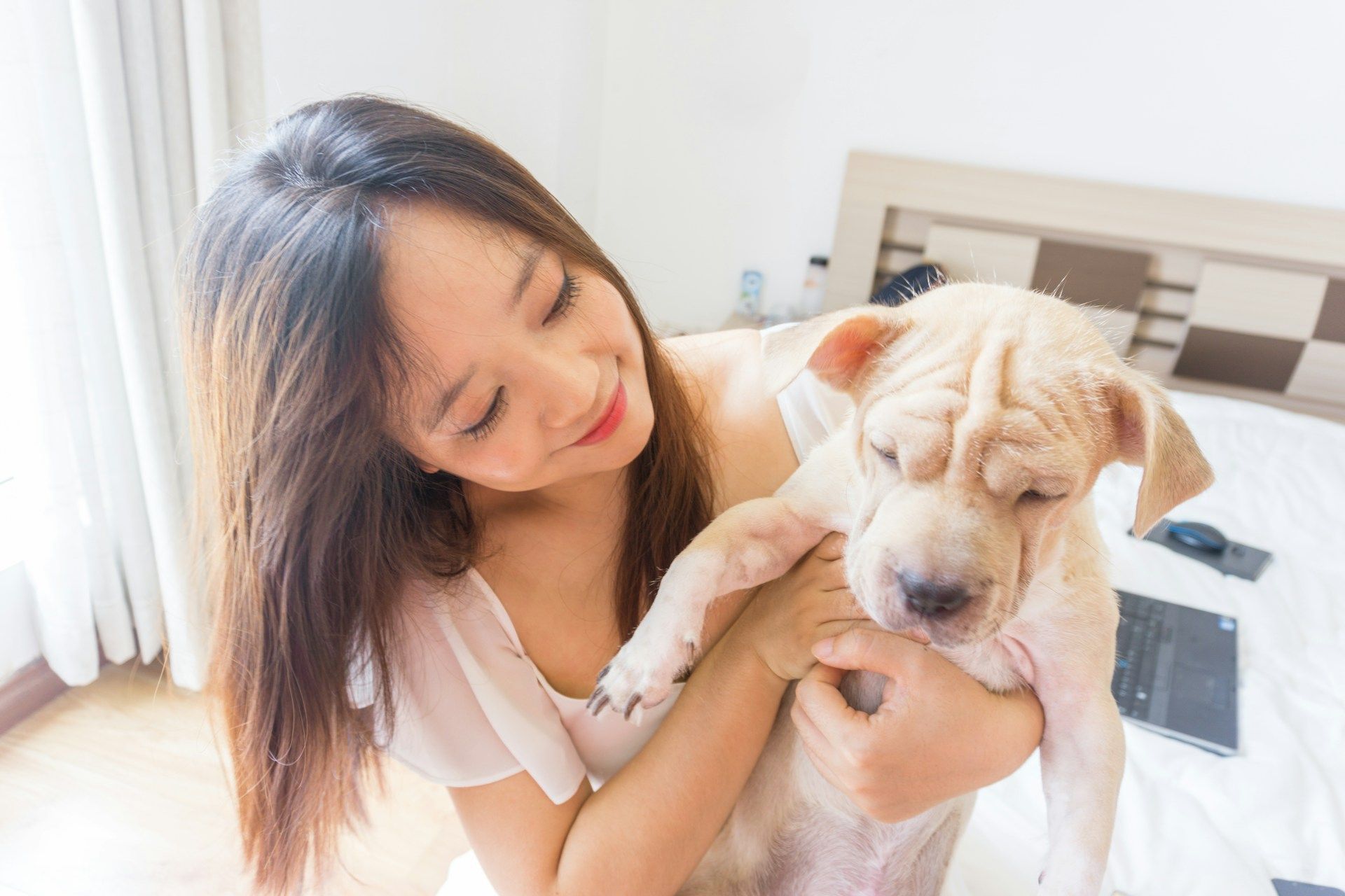 dog and their owner