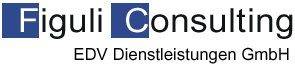 Klick altes Figuli Consulting Logo seit 1998