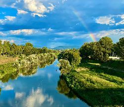 Servizi ecologici