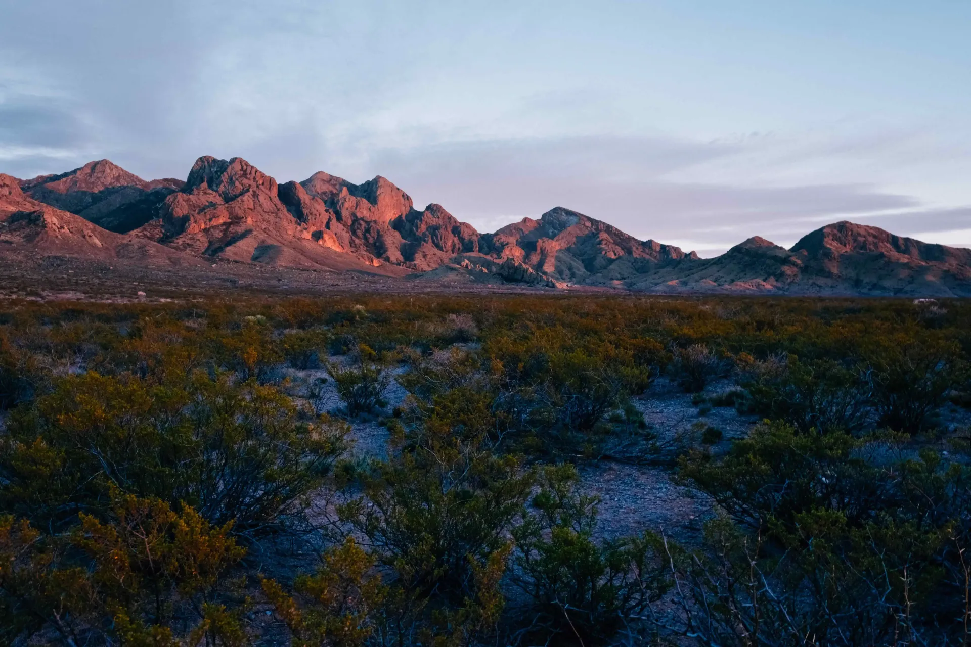 Desert landscape with rugged red mountains lit by pink sunset over dark scrubland