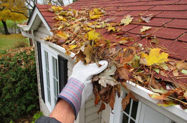 Hand in glove clearing autumn leaves from a gutter on a house.