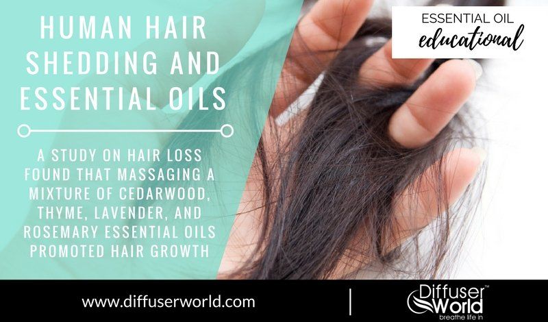 Human Hair Shedding And Essential Oils