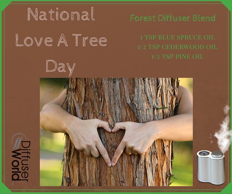 Forest Diffuser Blend