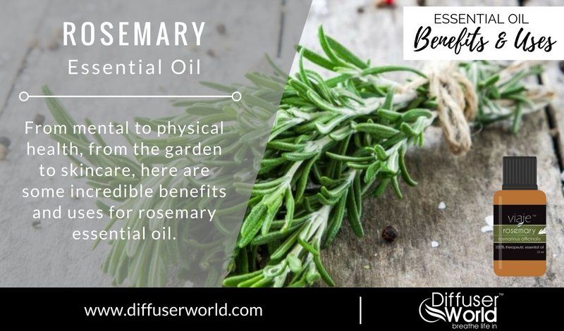 What are the mental and physical health benefits of essential oils?