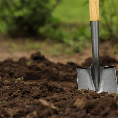 A shovel with a wooden handle is in the dirt