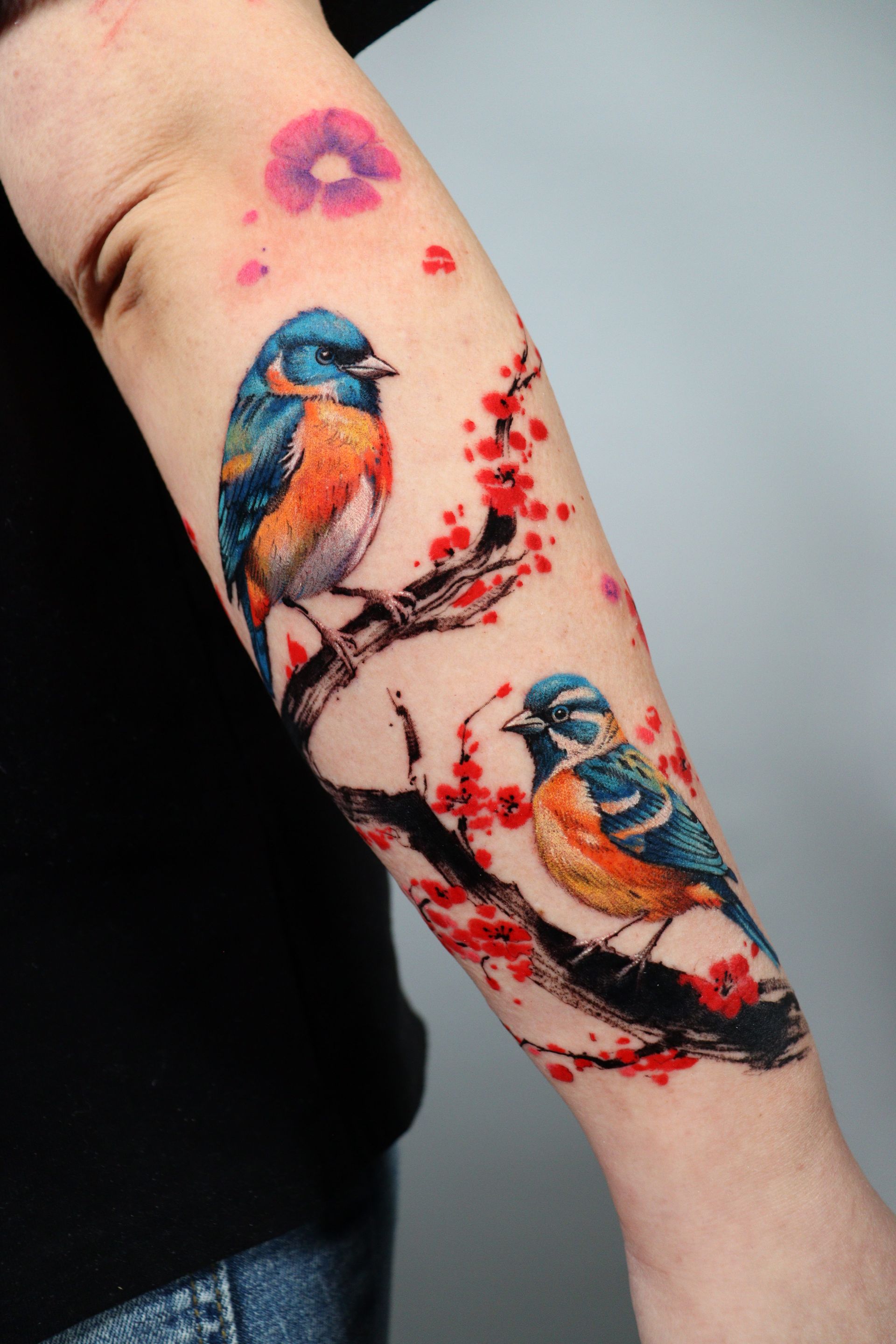 Tattoo of two blue and orange birds perched on a flowering branch with red blossoms on a person's forearm.