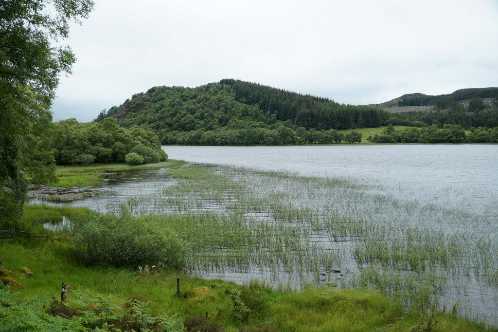 Birdwatching at Loch Ruthven Scotland. Free guide to the UK's best birdwatching sites
