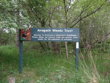 Birdwatching at Anagach woods Scotland. Free guide to the UK's best birdwatching sites