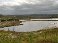 Brockholes nature reserve near Preston Lancashire. Free guide to birdwatching and walking sites in the UK and beyond