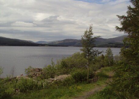 Birdwatching at Clatteringshaws Loch Dumfries & Galloway Scotland. Free guide to the UK's best birdwatching sites