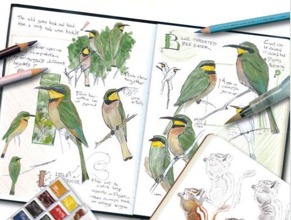 The Art of the Bird: The History of Ornithological Art through Forty  Artists, Lederer