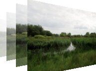 Birdwatching at Fowlmere RSPB Reserve Cambridgeshire. Free birdwatching guide