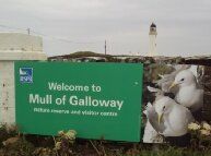 Birdwatching at Mull of Galloway Dumfries & Galloway Scotland. Free birdwatching guide