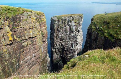 Birdwatching at Handa Island Scotland. Free guide to the UK's best birdwatching sites