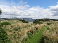 Birdwatching at Inchcolm Firth of Forth Scotland. Free birdwatching guide