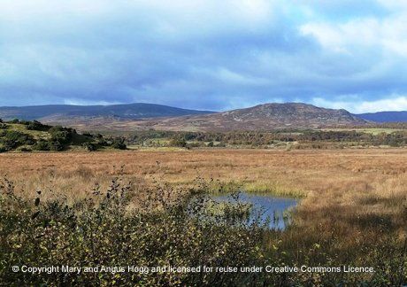 Birdwatching at Insh Marshes RSPB Reserve Scotland. Free guide to the UK's best birdwatching sites