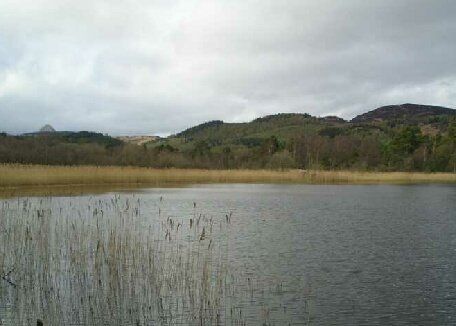 Birdwatching at Loch of Lowes Scotland. Free guide to the UK's best birdwatching sites