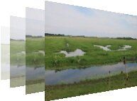Birdwatching at RSPB Ouse Washes Cambridgeshire. Free birdwatching guide