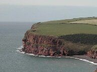 Birdwatching at St Bees Head Cumbria. Free birdwatching guide