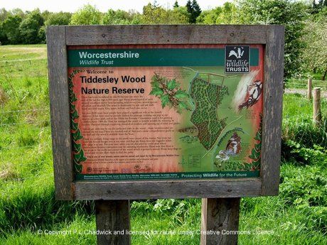Birdwatching at Tiddesley Wood Worcestershire. Free birdwatching magazine