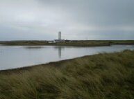 Birdwatching at South Walney Nature Reserve Cumbria. Free birdwatching guide