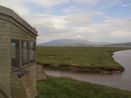 Birdwatching at Wigtown Bay Scotland. Free guide to the UK's best birdwatching sites
