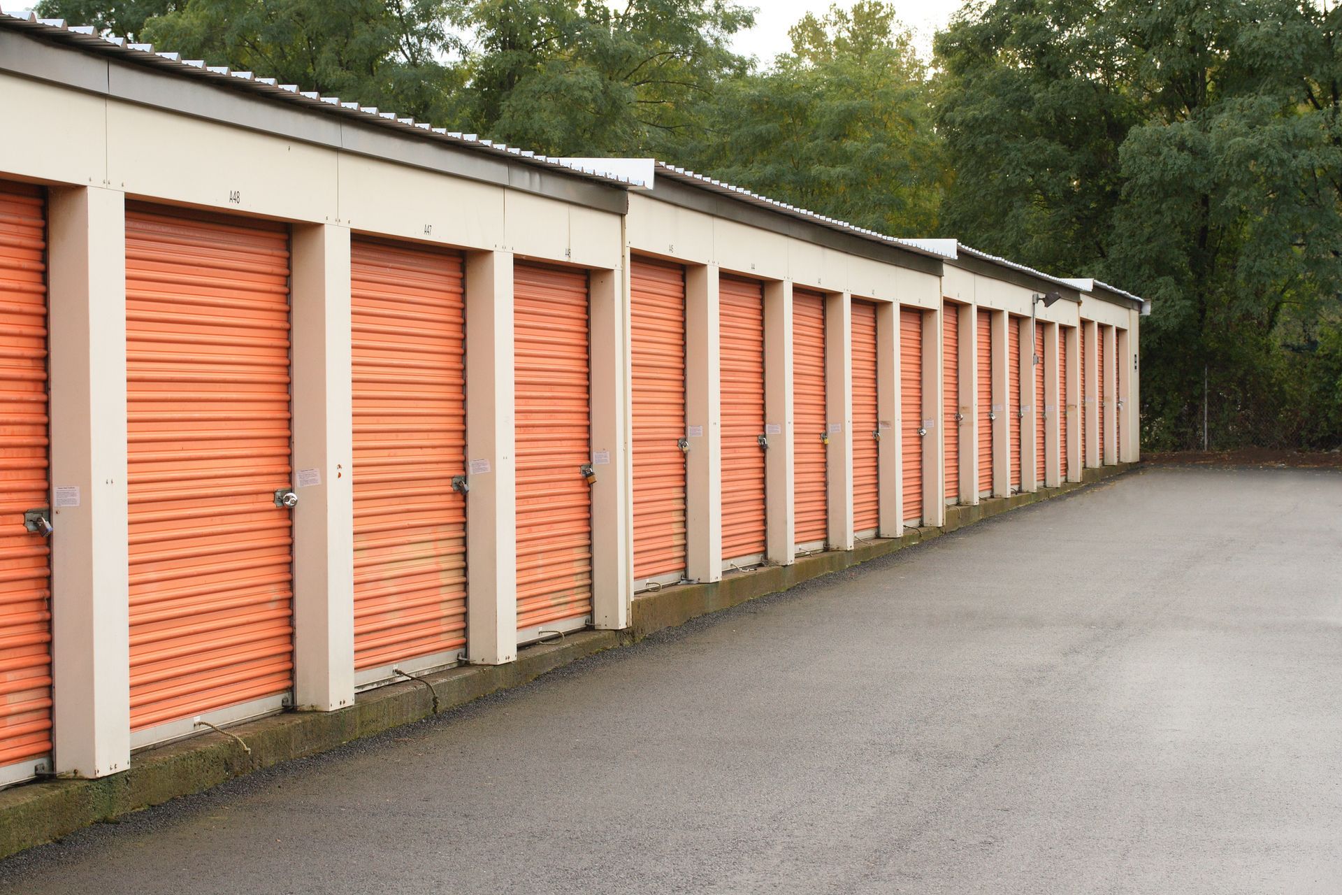 Row of orange storage unit doors along a wet asphalt road, with a line of trees in the background.