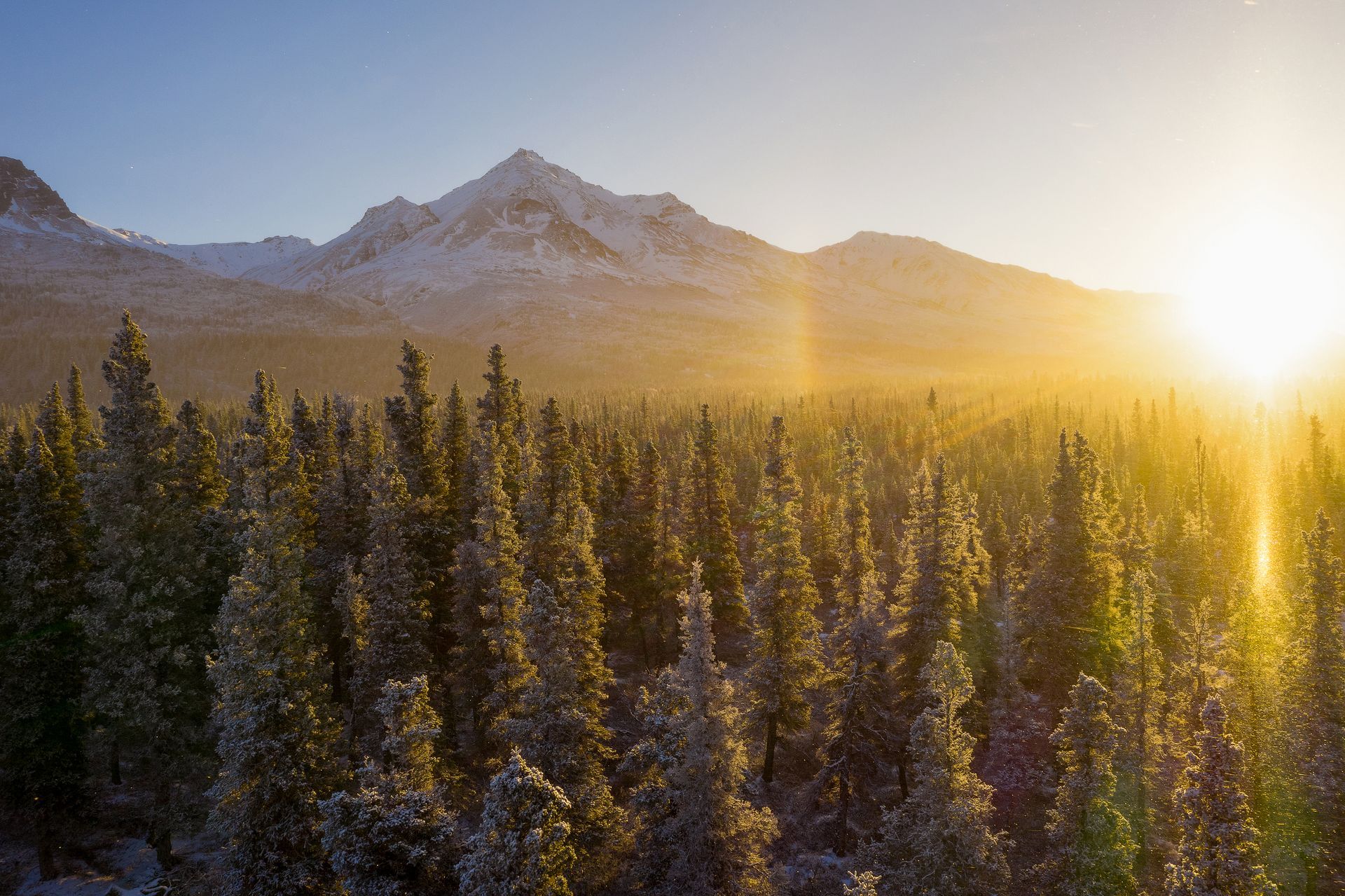 wilderness