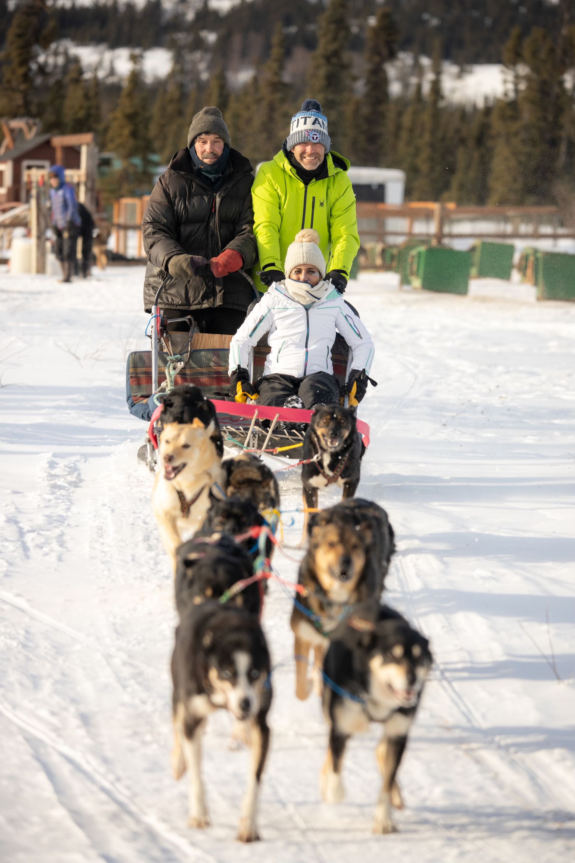 dog-sledding