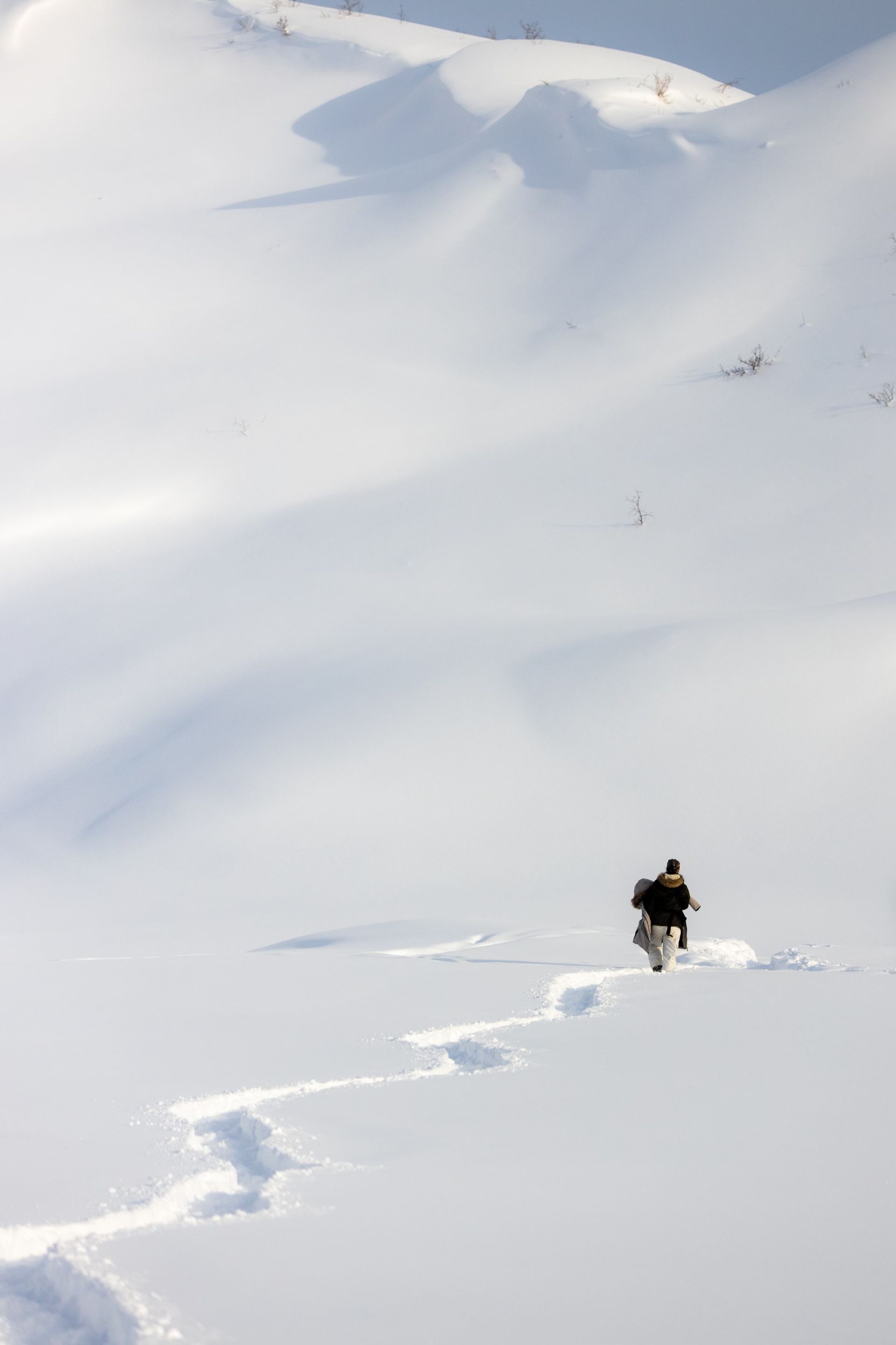 snowshoe, Castner Ice Cave, Castner Glacier