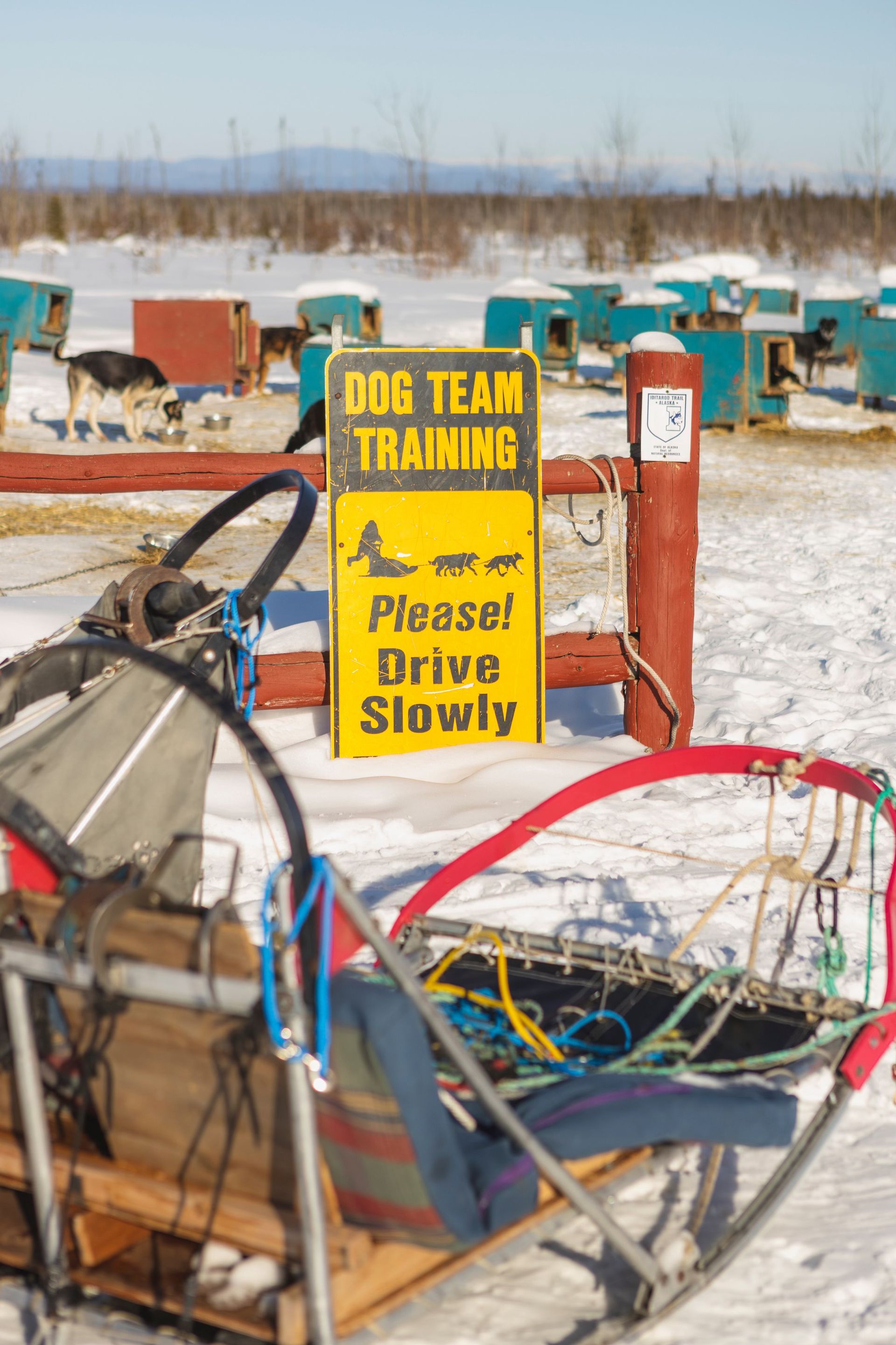 Dog mushing, dog sledding, guided dog mushing