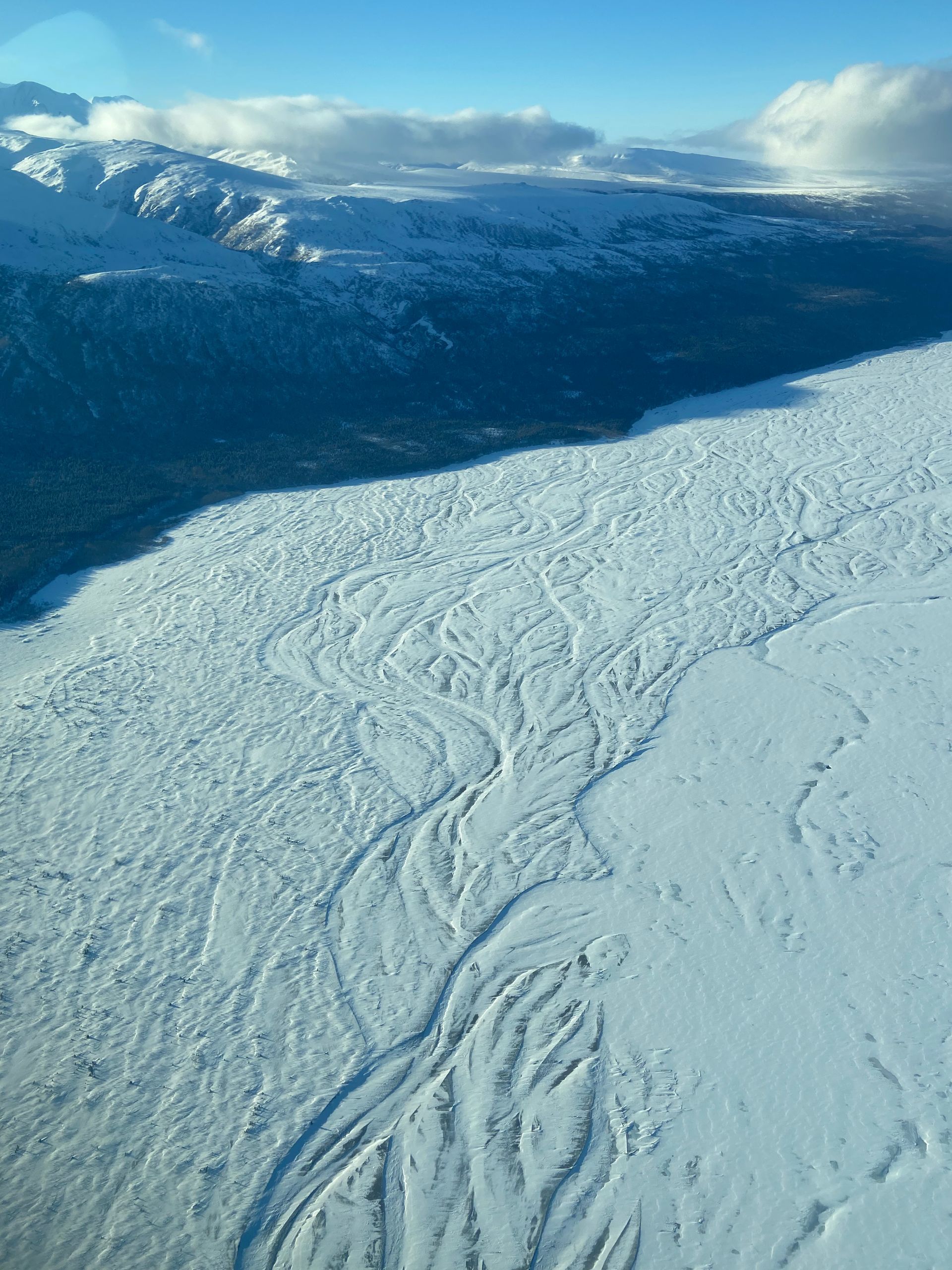 tracks-in-snow
