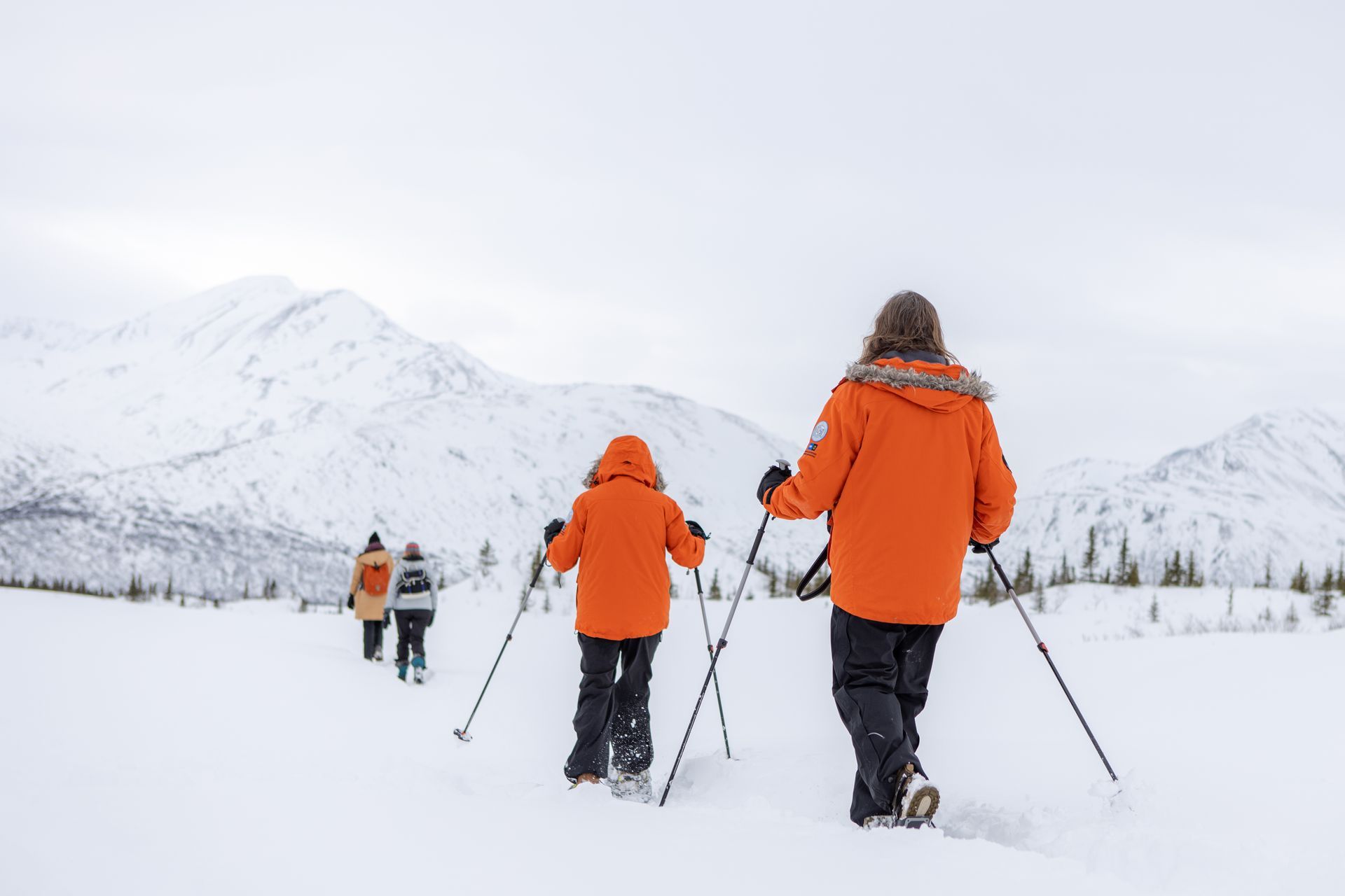 Castner Ice Cave, Castner Glacier, Guided tour, Alaska Range