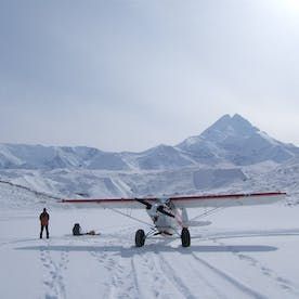 flightseeing tour