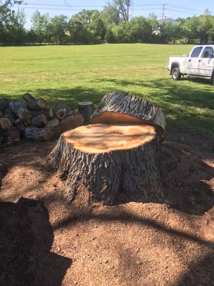 Stump Cut — Seymour, TN — B & B Tree Care LLC