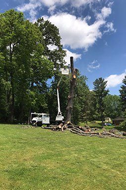 Wood Removal Left — Sevierville, TN — B & B Tree Care LLC