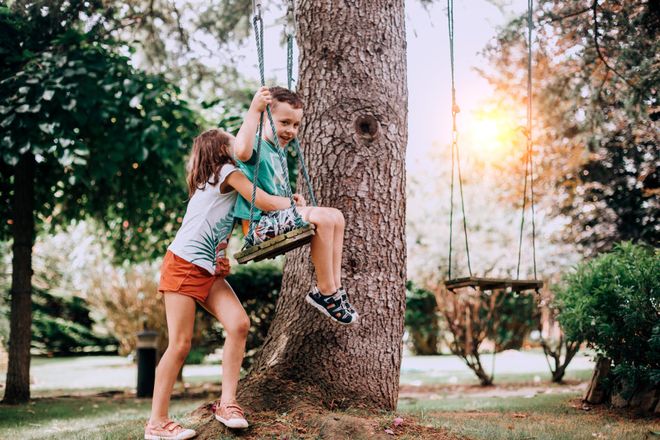Children swing on tree swing - Seymour, TN - B & B Tree Care LLC