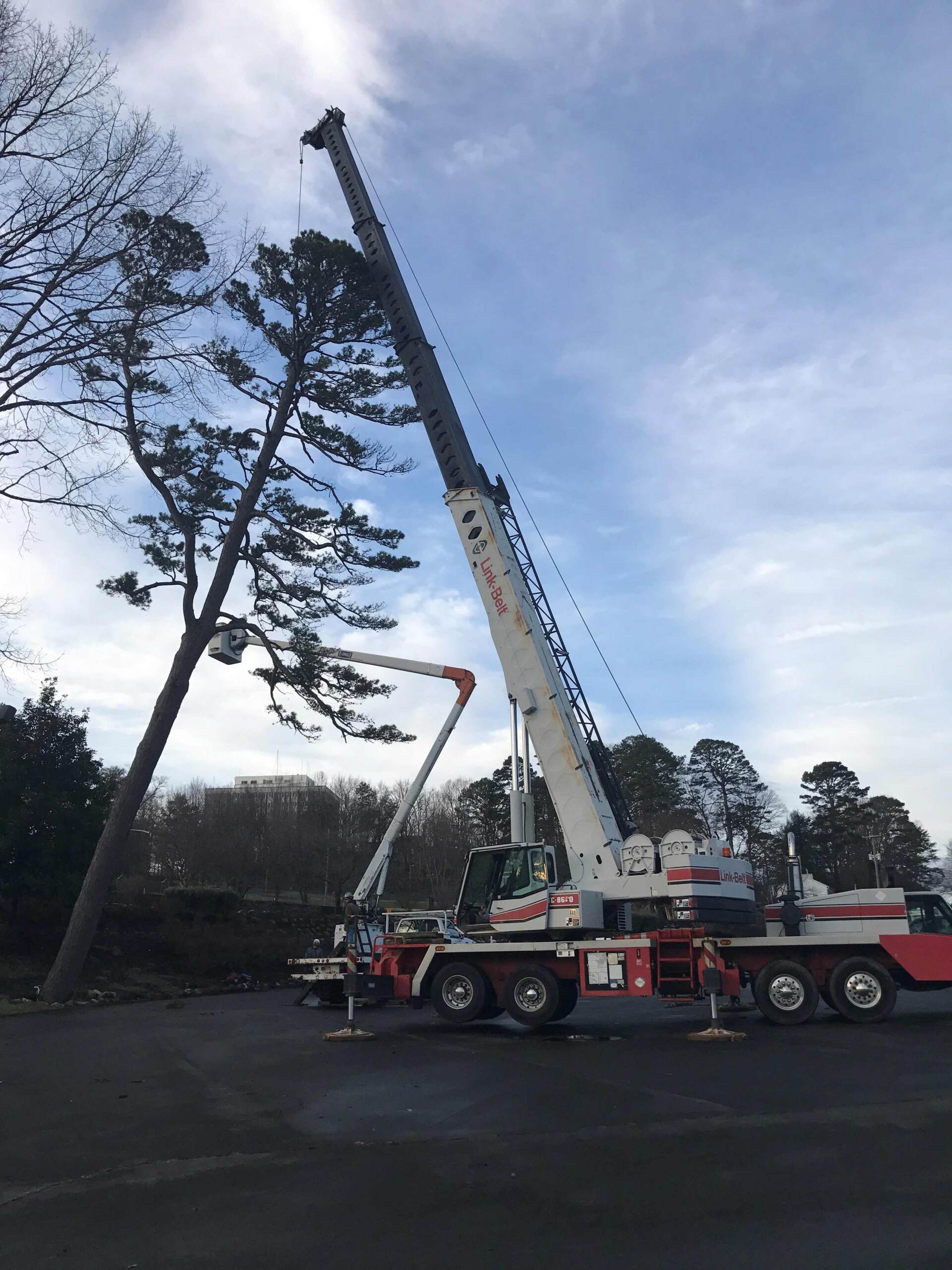 Crane for Tree Removal — Seymour, TN — B & B Tree Care LLC