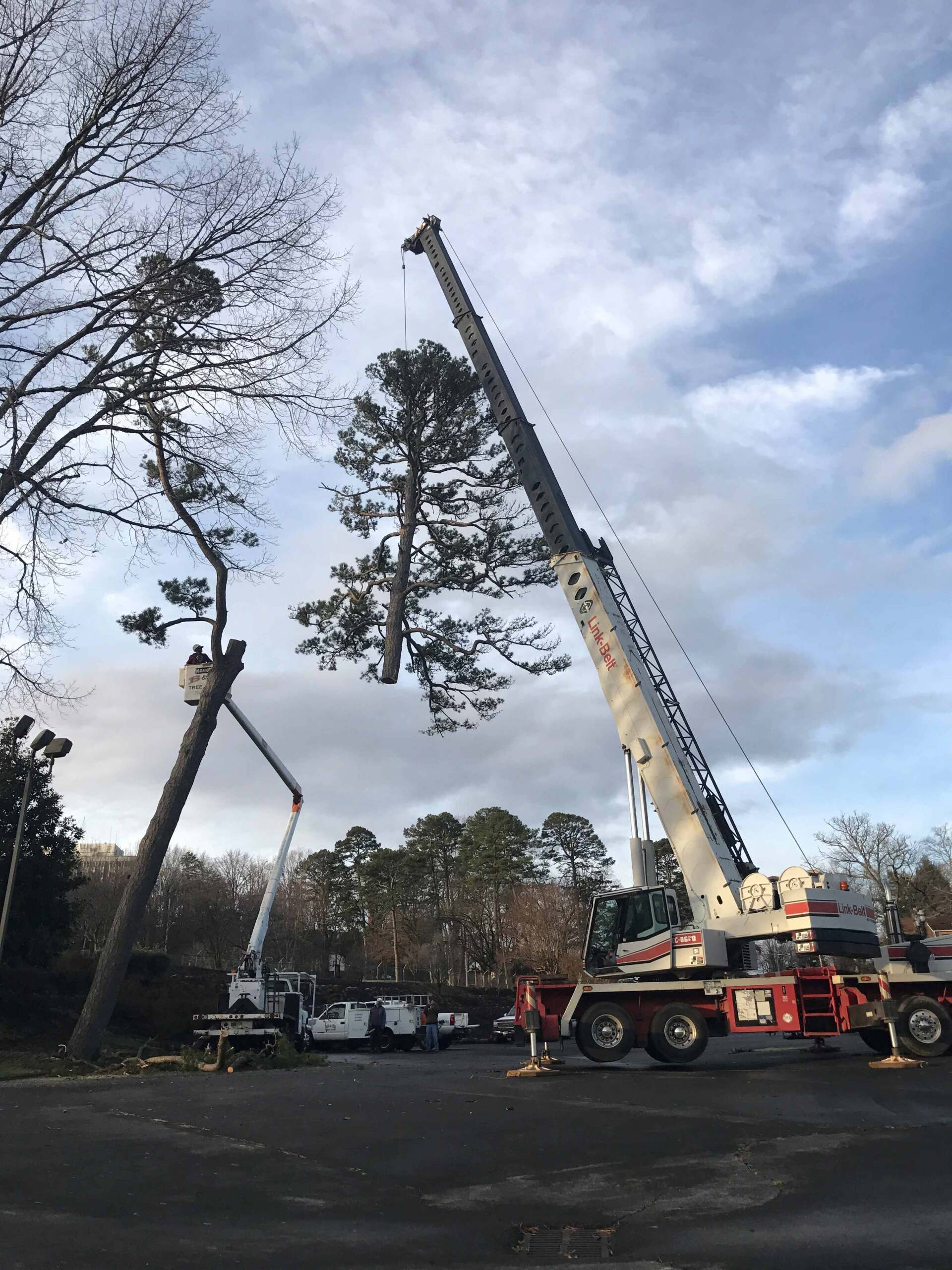 Cut and Pick With the Crane — Seymour, TN — B & B Tree Care LLC