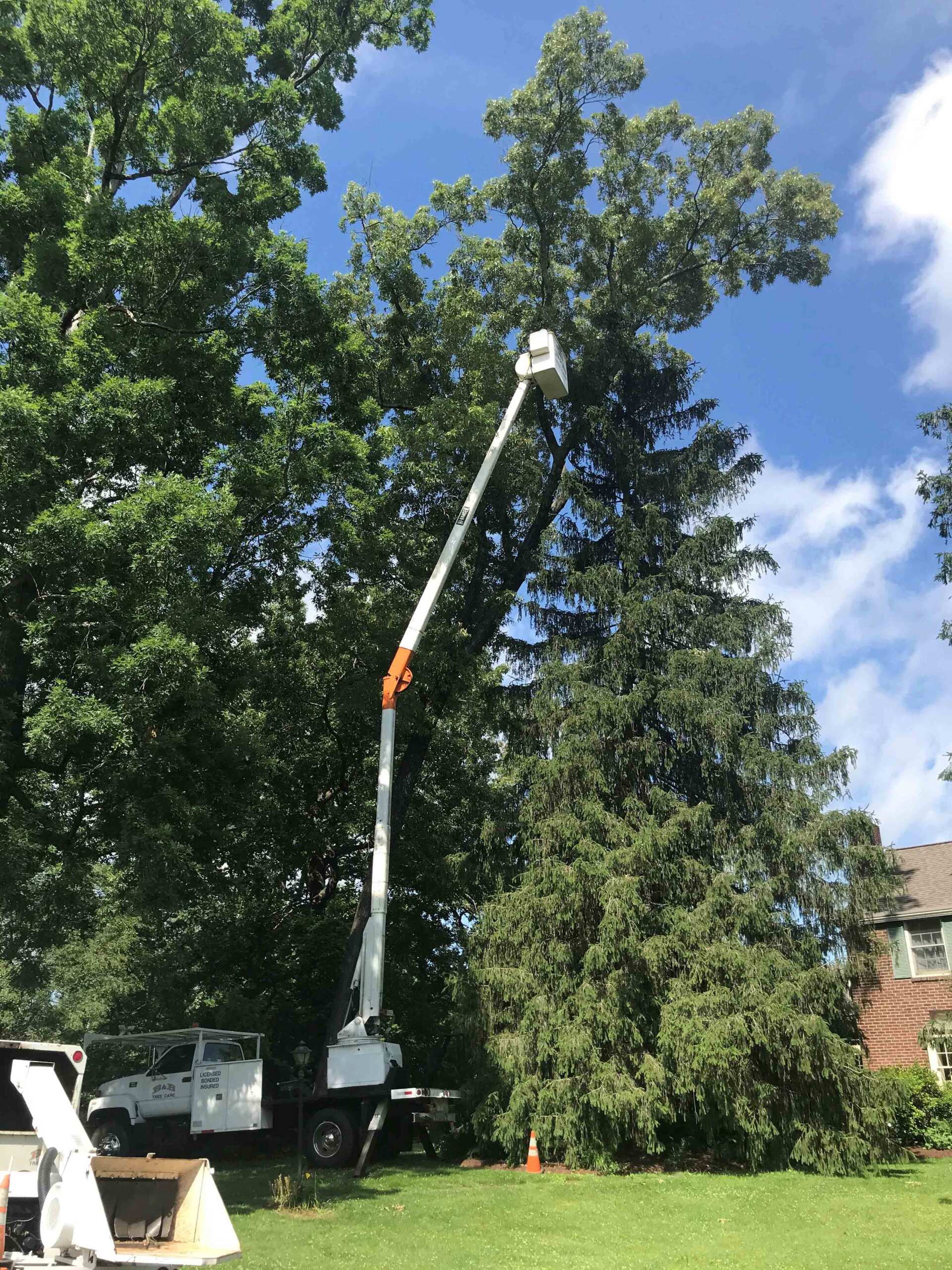 Tree Service With the Crane — Seymour, TN — B & B Tree Care LLC