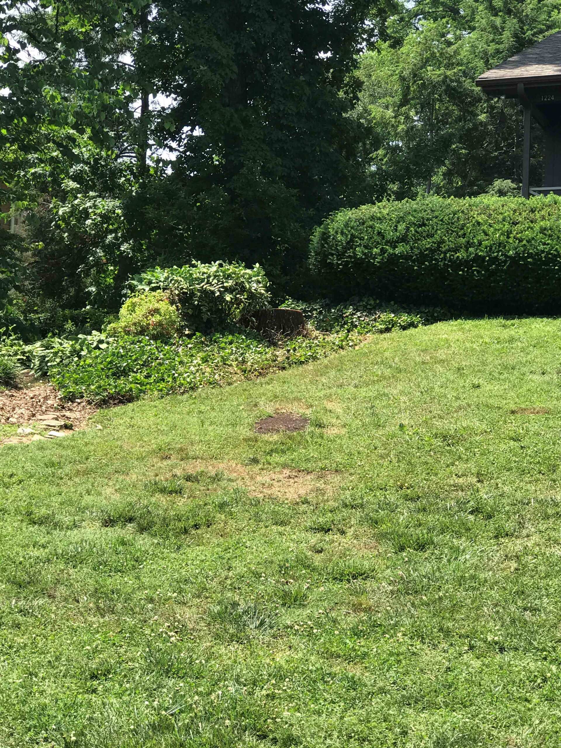 Stump Ground Out — Seymour, TN — B & B Tree Care LLC