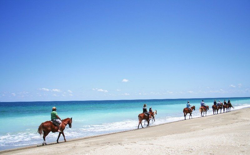 Treasure Coast Horseback Riding on the Beach