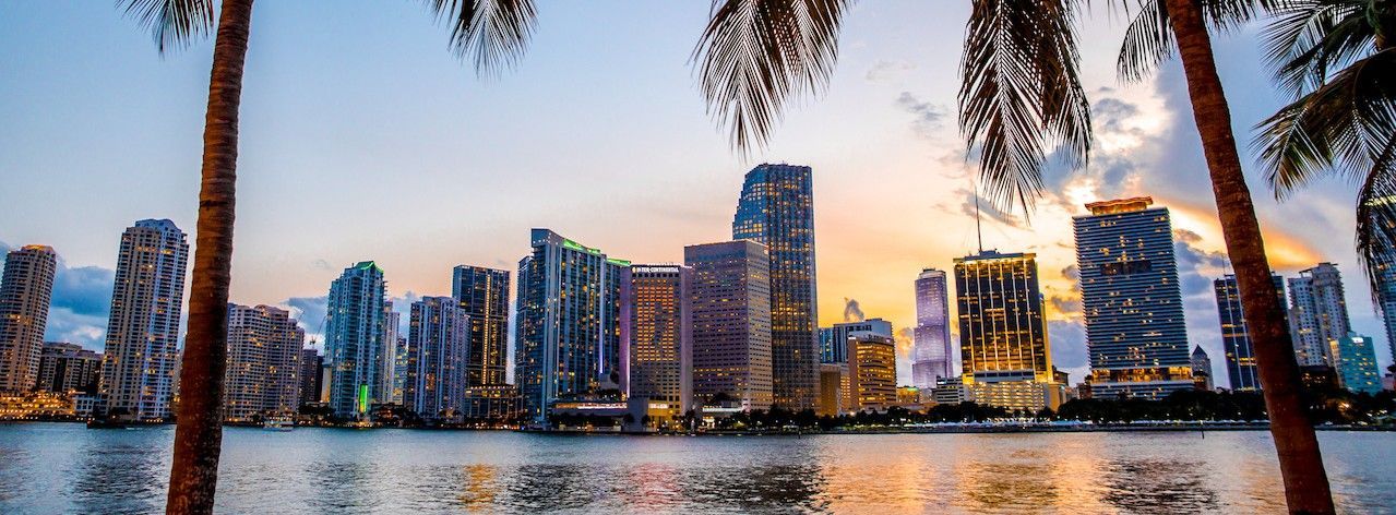 A city skyline with palm trees in the foreground and a body of water in the background.
