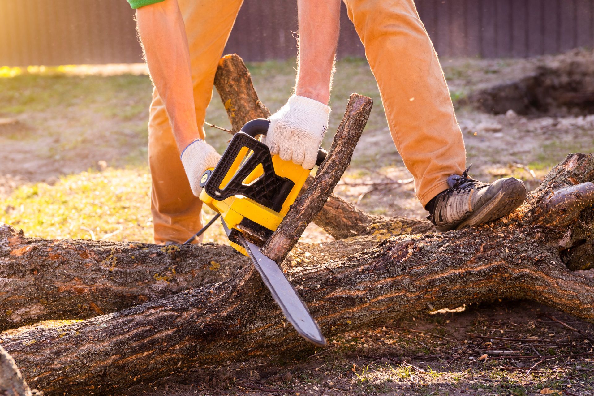Exterior Services — Matthews, NC — Disciples Moving & Labor Exterior Services — Matthews, NC — Disciples Moving & Labor