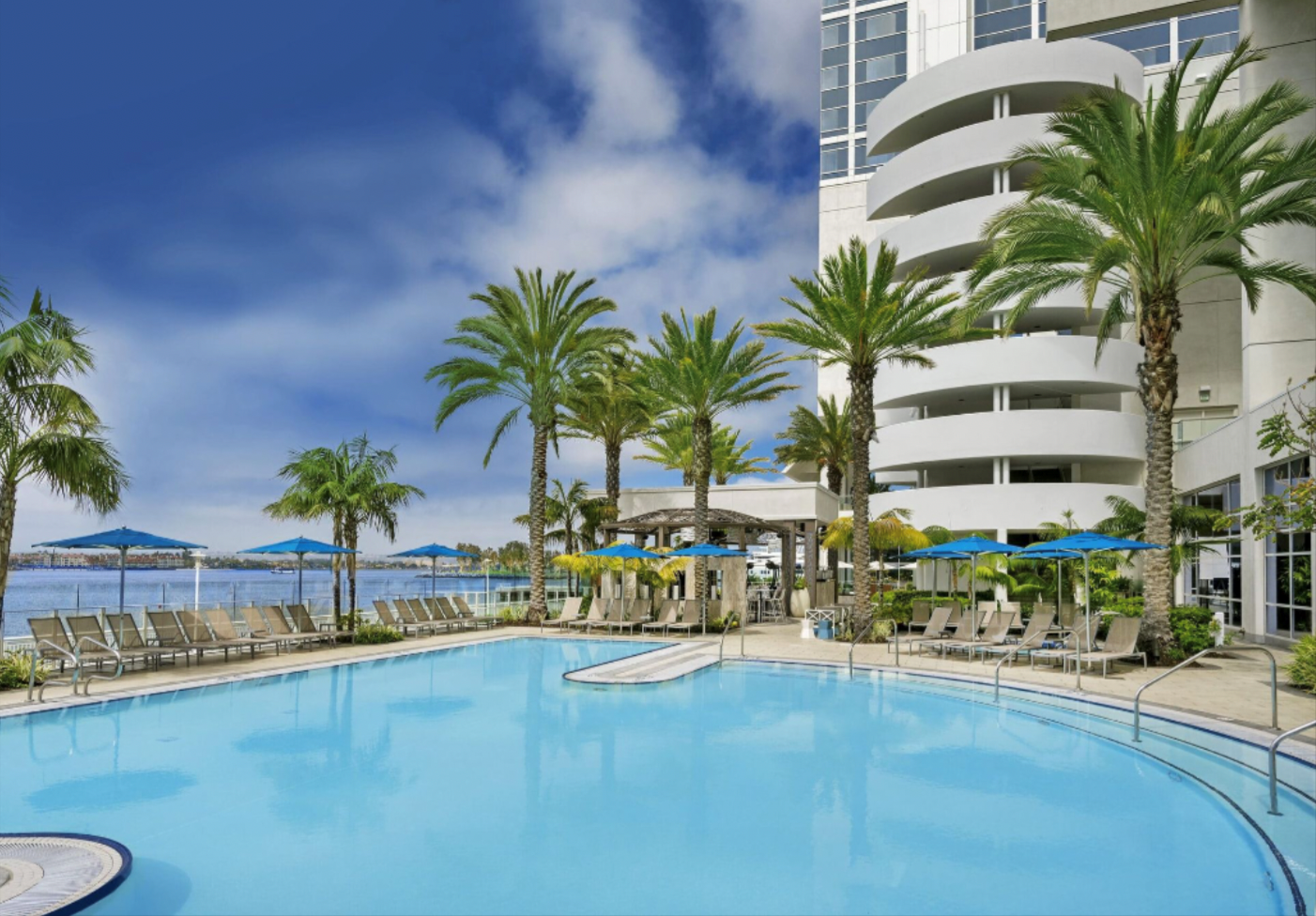 Swimming Pool in Beach View -  San Diego, CA - CM Precision Tree & Landscape Maintenance Inc.