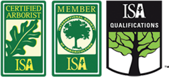 ISA qualifications b