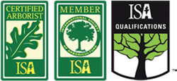 ISA qualifications b