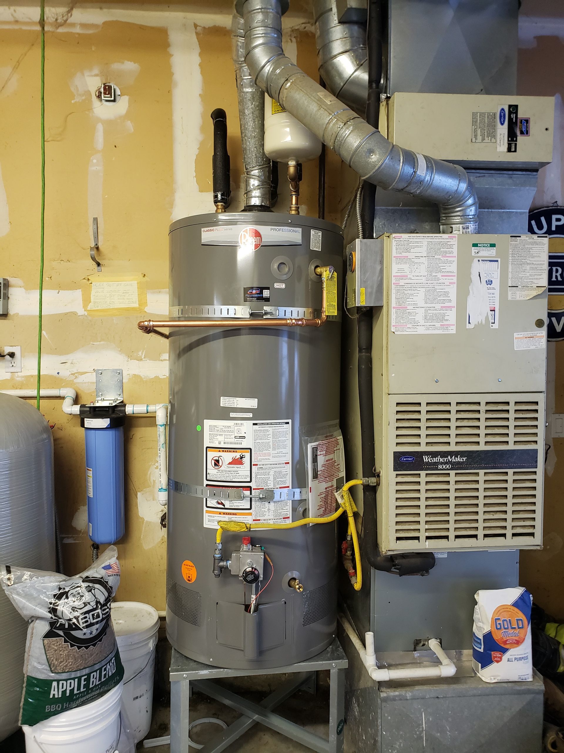 Utility room with a water heater and furnace, silver vent pipes, and exposed walls and equipment.